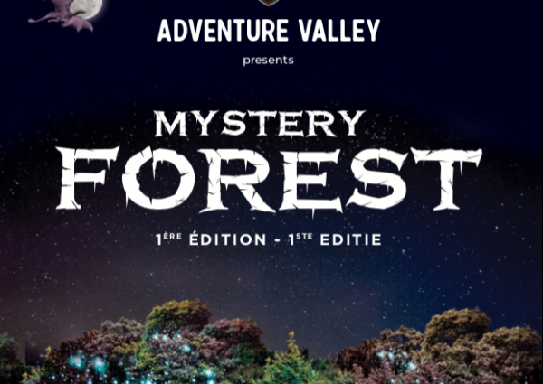 mystery forest spectacle son et lumiere