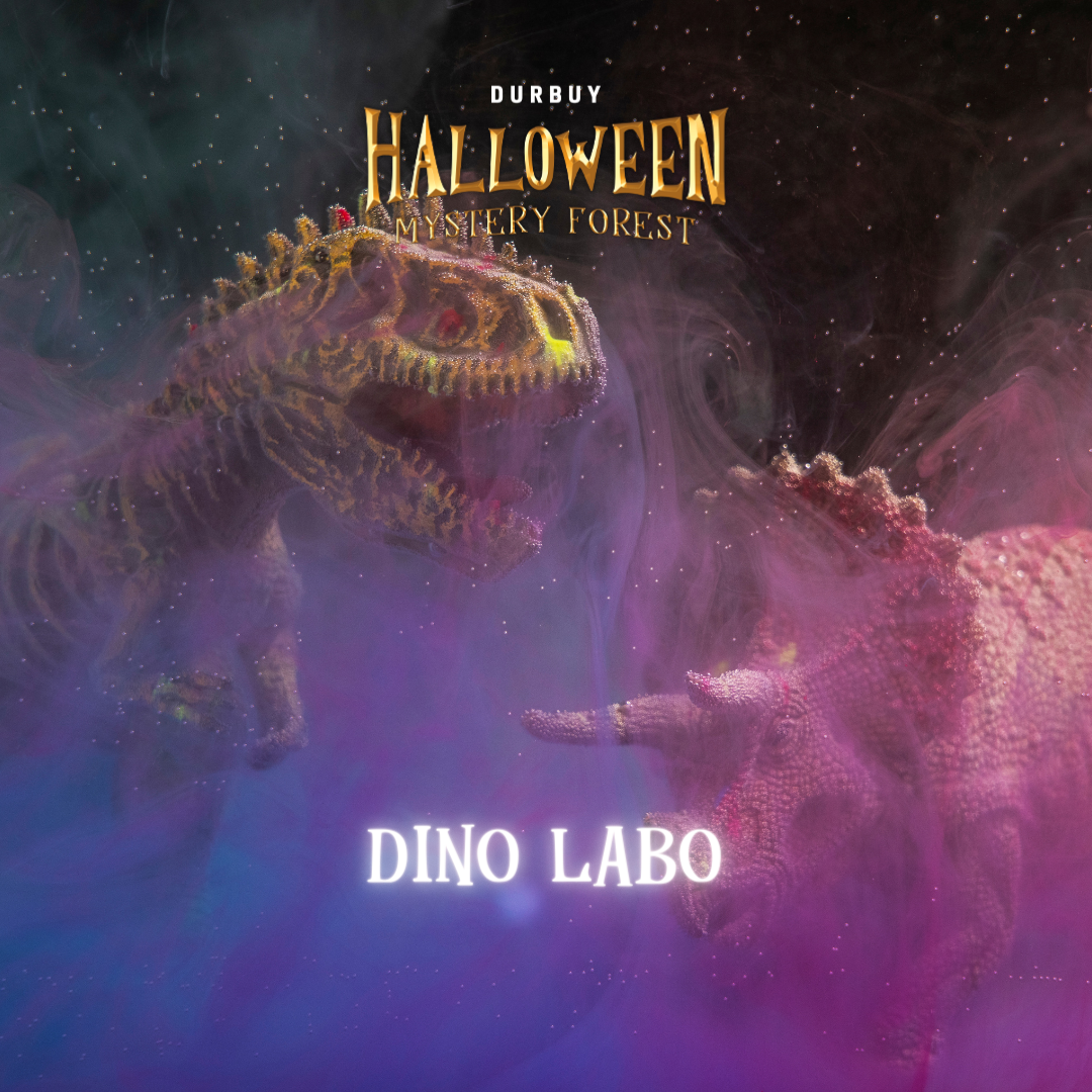 dino labo