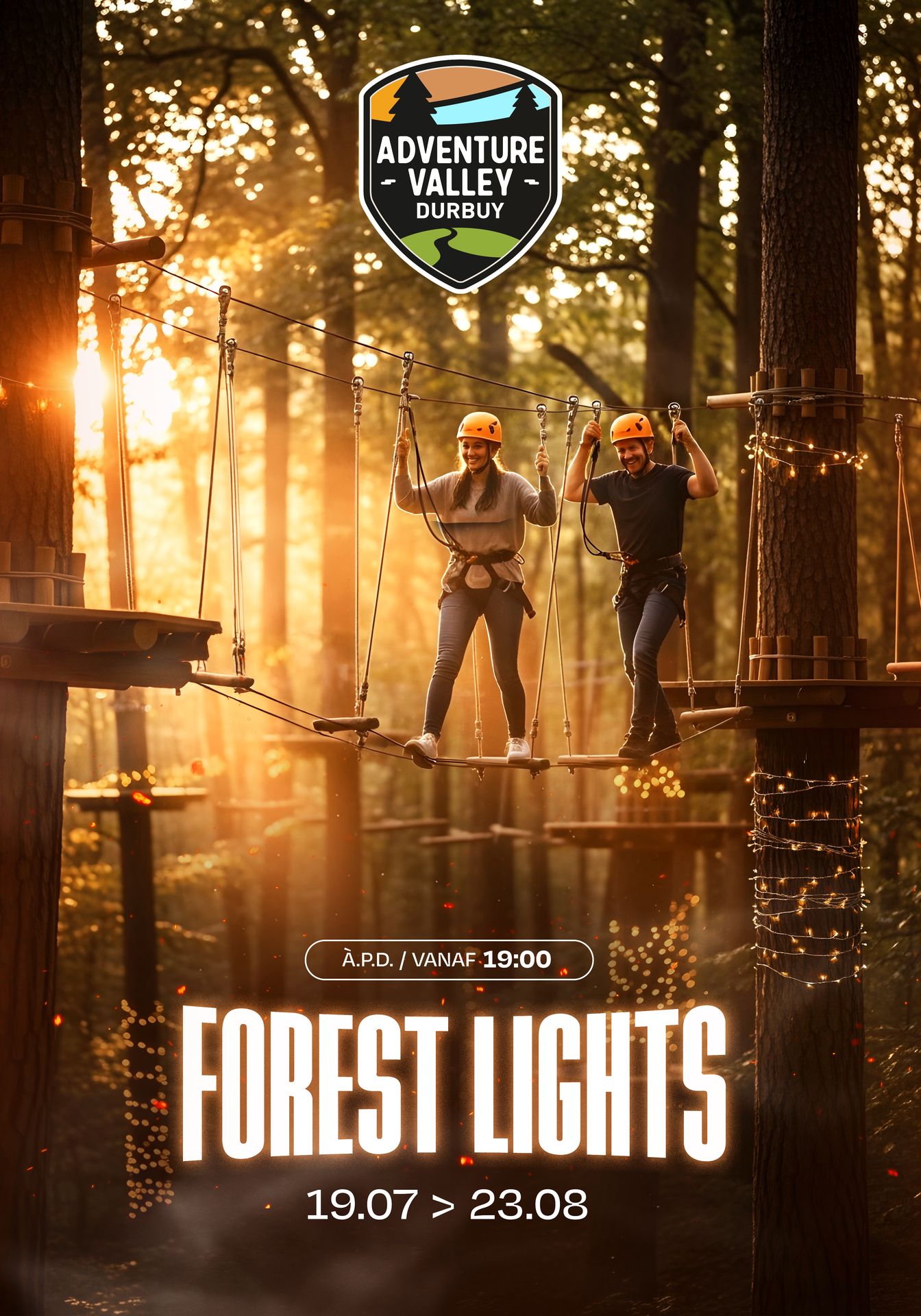 forest light