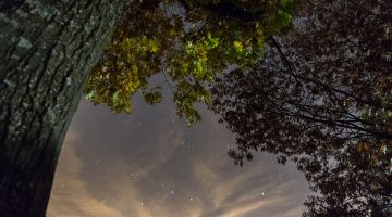 ciel étoilé