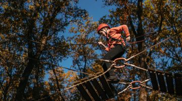 Parcours accrobranche