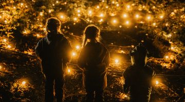 winter valley durbuy
