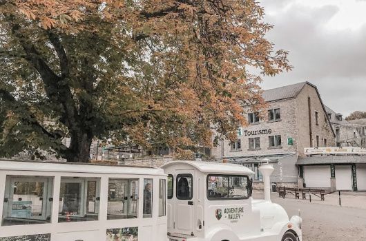 petit train