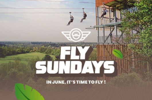 fly pass