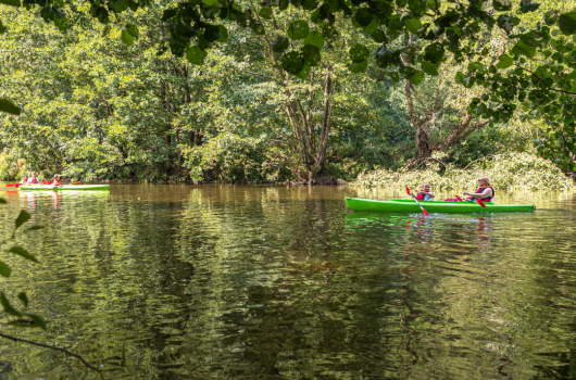 kayak