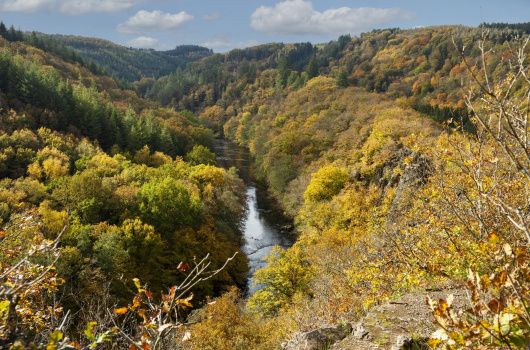 vallée de l'ourthe