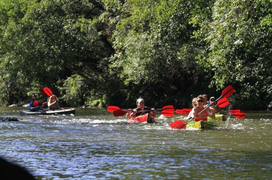 kayak teambuilding ardenne