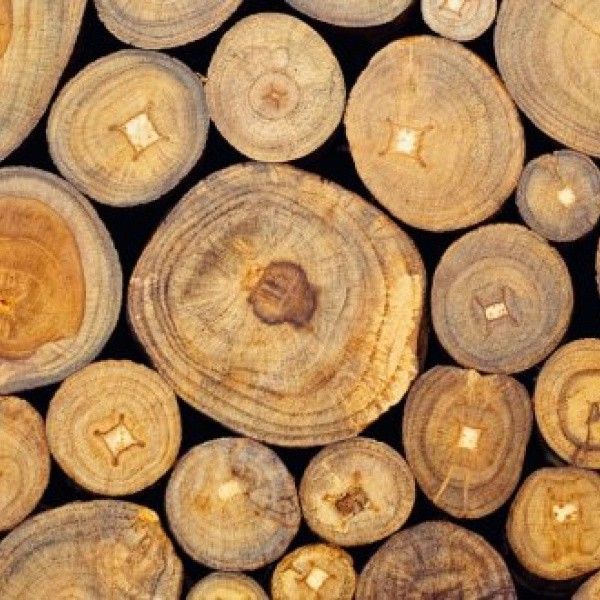 bomen