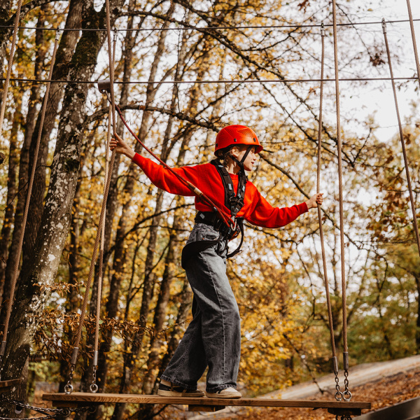 Accrobranche Automne