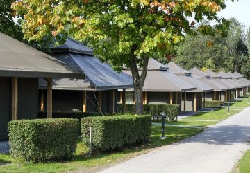 Séjour école primaire, Green Fields