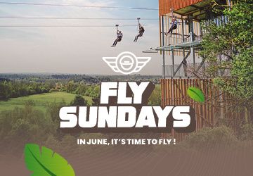 fly sundays