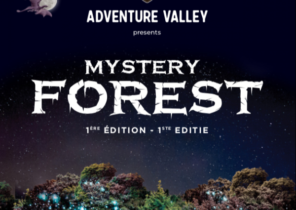 mystery forest