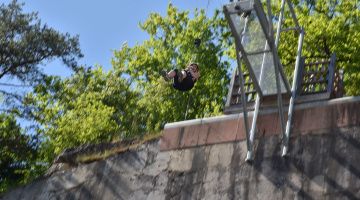 Free fall 