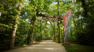 wildwood
