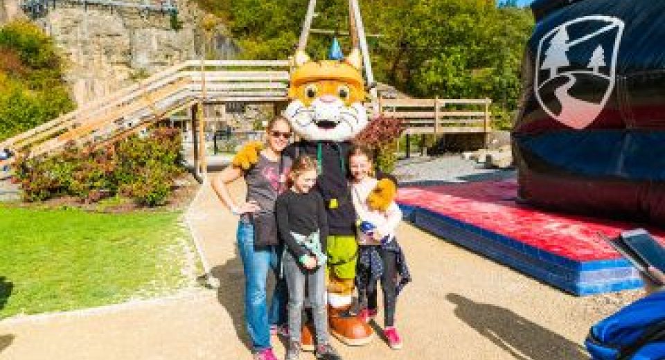 Activités pour famille