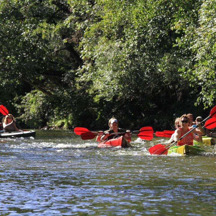 kayak teambuilding ardenne