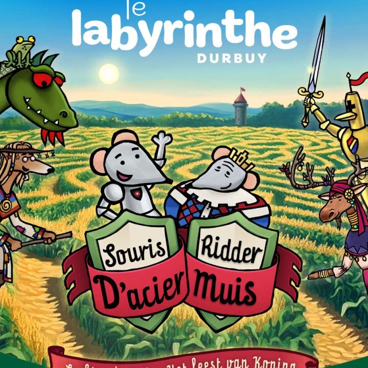 affiche souris d'acier