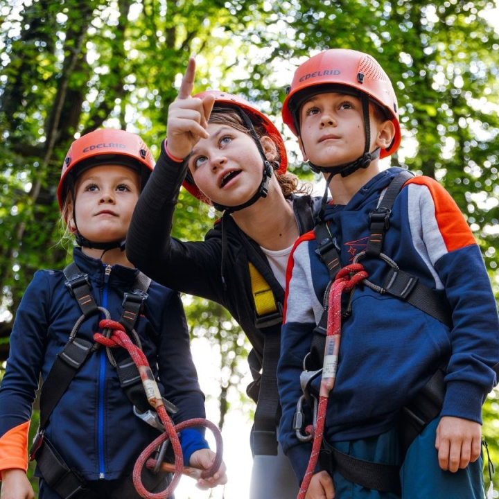 enfants accrobranche