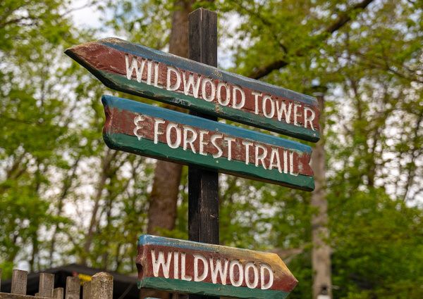 wildwood