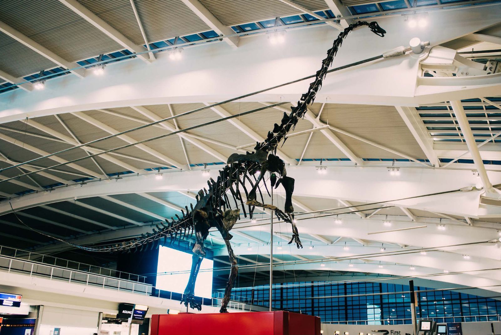 dino